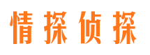 双辽市调查公司